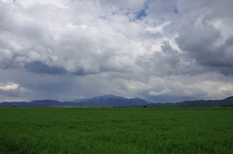 绿色的草地，以法格拉斯山脉为背景，多云的天空。喀尔巴阡山、罗马尼亚、欧洲