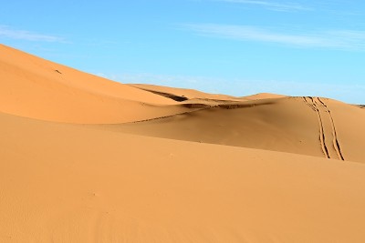 沙漠