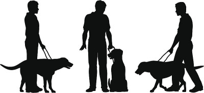 导盲犬
