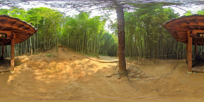 丹阳竹林360度球面全景图。