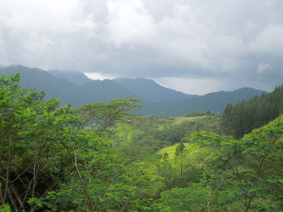 斯里兰卡的山景