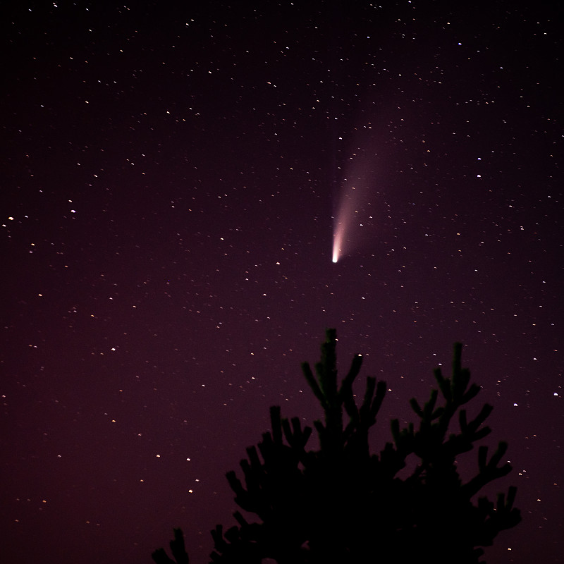 彗星在夜空中闪烁