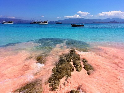 美丽的粉红色海滩和蓝色清澈的水来自科莫多岛(科莫多国家公园)，纳闽巴霍，弗洛雷斯，印度尼西亚