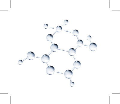 摘要分子