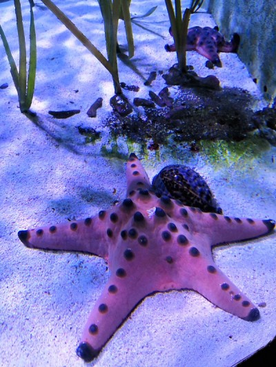 水族馆