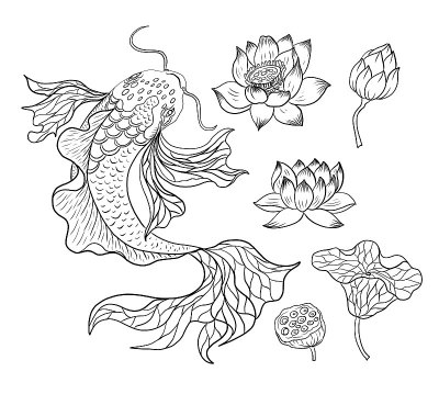 美丽的线艺术金鱼矢量插图。