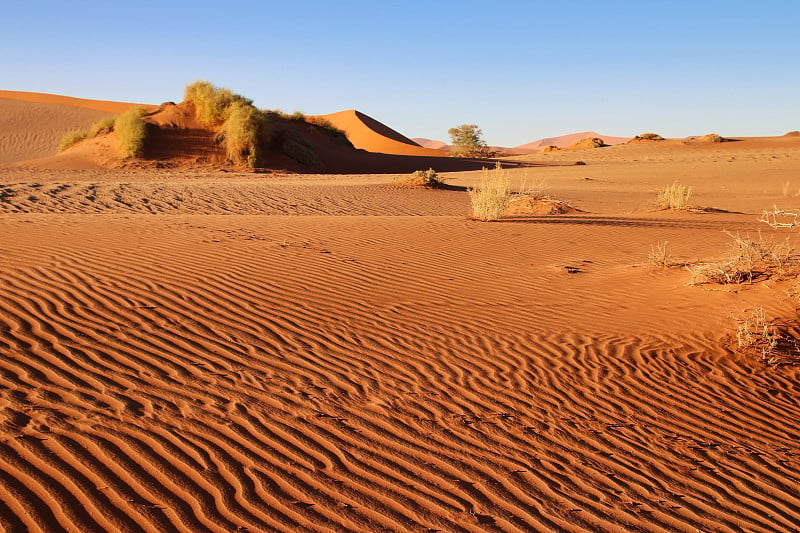 巨大的红色沙丘Sossusvlei Namib沙漠-纳米比亚- naukluft国家公园，纳米比亚，