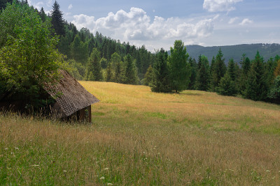 Beskid Żywiecki是山上的一块空地，有一座木屋和一片森林。