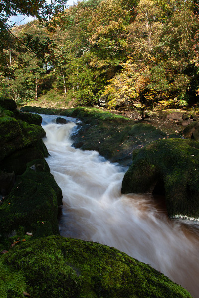 《Strid