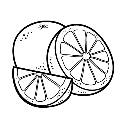 橙色水果矢量