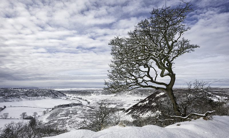 英国约克郡Goathland的北约克荒原上的积雪。