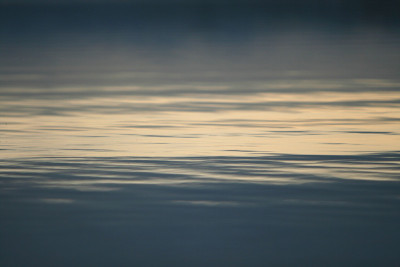 水