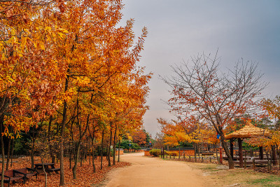 韩国仁川月尾公园传统花园的秋天