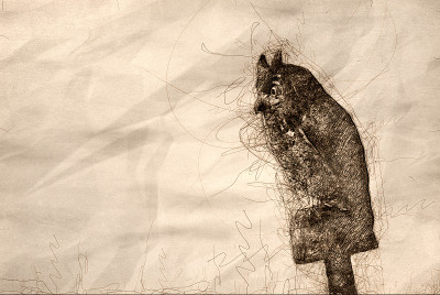 一只守夜的人造猫头鹰的素描