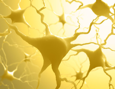 Neurones