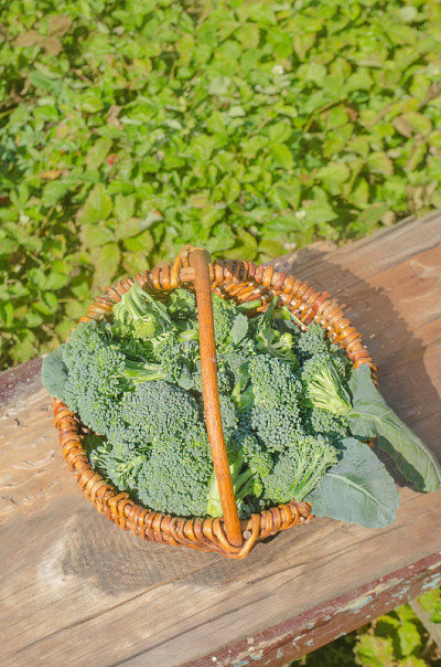 柳条篮子里的西兰花。