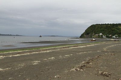 奇洛,Chile