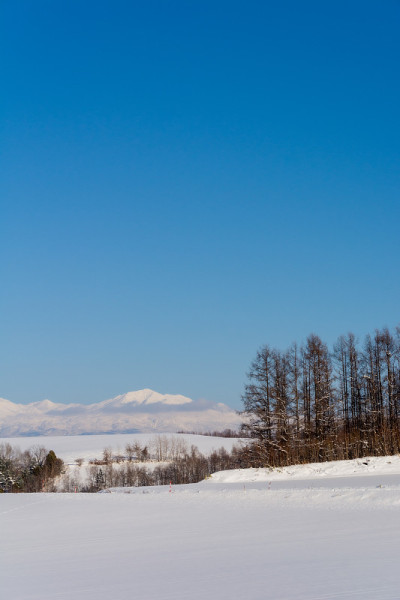 蓝天下的雪原和雪山