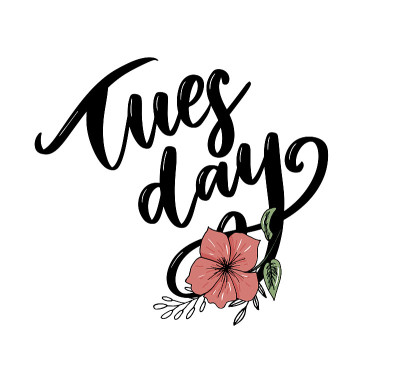 Hello Tuesday words. Hand drawn ink lettering. bru