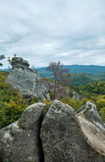 山的风景。Dovbush岩石。喀尔巴阡山,乌克兰。