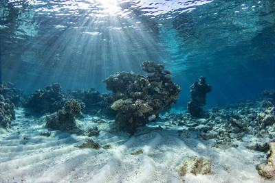 水下海景