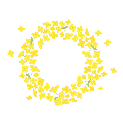 矢量油菜花圆形框架插图