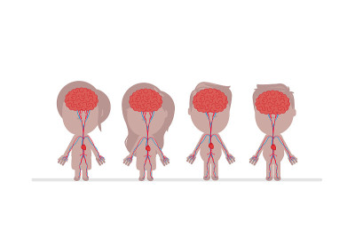 Human body anatomy vector illustration