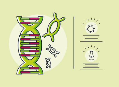 DNA分子信息图，研究冠状病毒