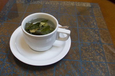 古柯叶茶