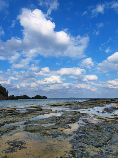 冲绳县Iriomote岛的风景