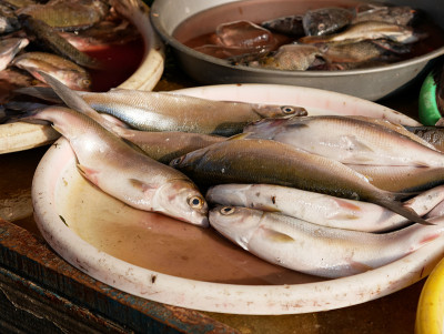 印度尼西亚传统鱼市中的Milkfish。在东南亚很受欢迎的鱼类