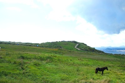 乌多，岛屿，海上救援，游轮，景观，马，