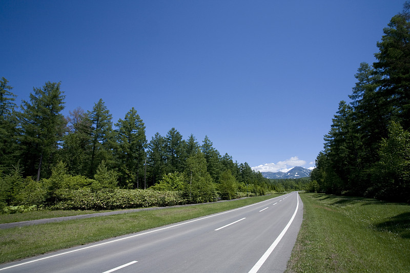 Birke森林道路