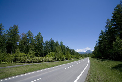 Birke森林道路
