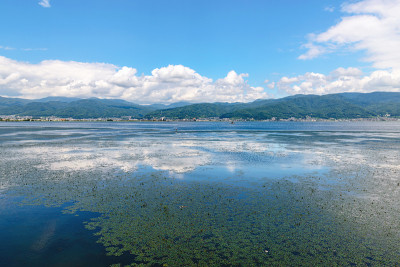 苏瓦湖的风景