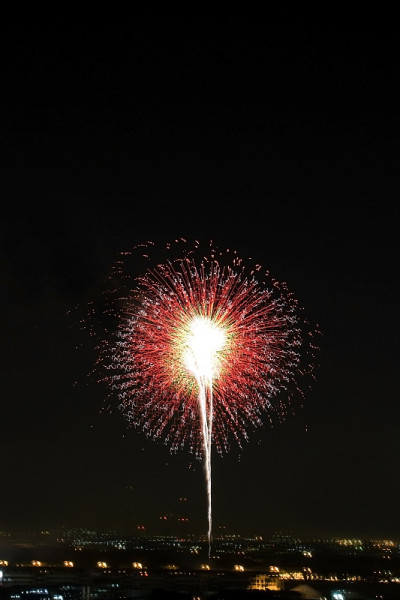 烟花照亮了夜空