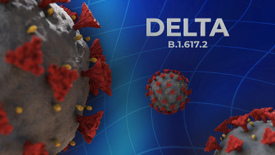 Delta冠状病毒变种B.1.617.2 - covid-19概念库存照片