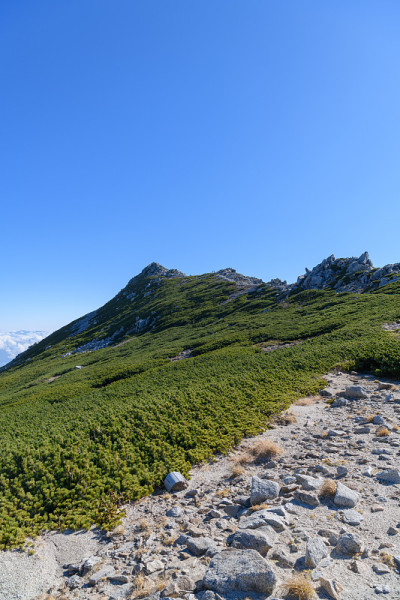 深秋的稻岭山