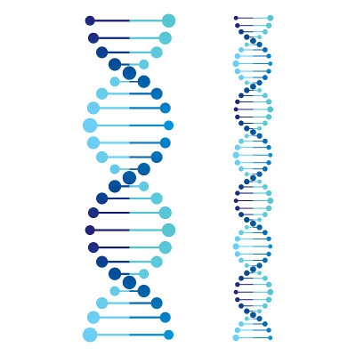 DNA的图标集。生命基因模型生物密码遗传分子医学符号插图矢量