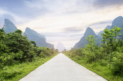 森林的小路