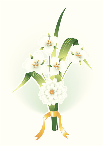白色的花朵
