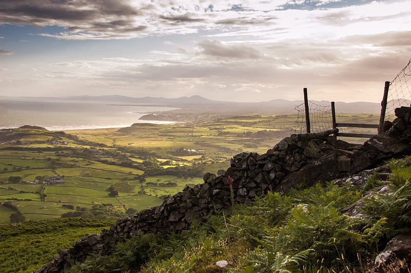 On Moel-y-Gest