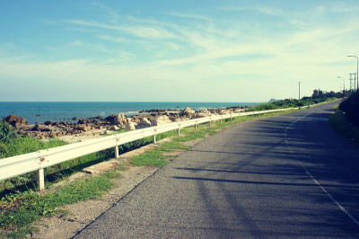 场景，越南，海岸，海滩，道路，拉吉