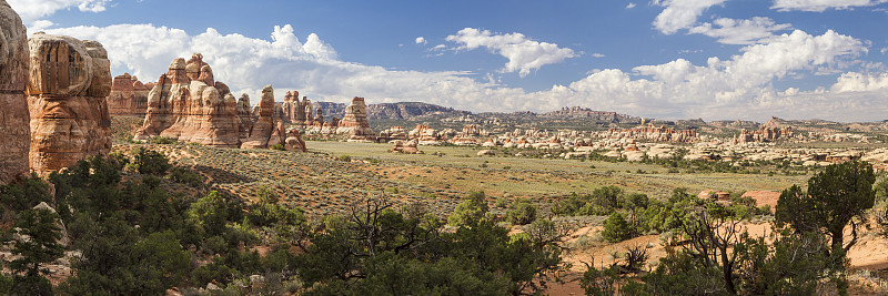 切斯勒公园针全景