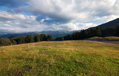 山