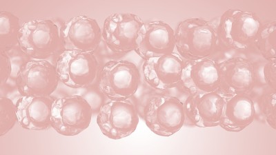 单细胞收缩到填充的三维渲染