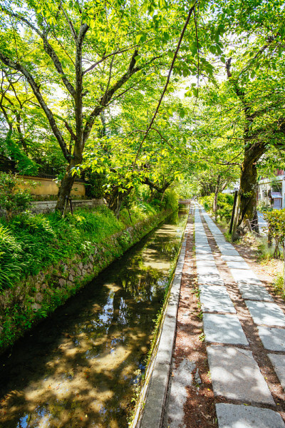 日本京都的哲学家之行