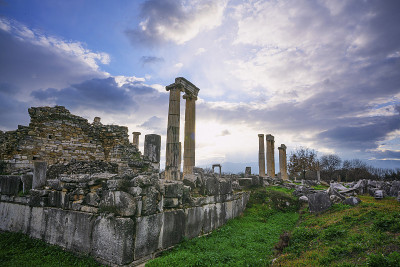 Aphrodisias, Aydin，火鸡。