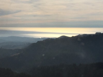 旧金山