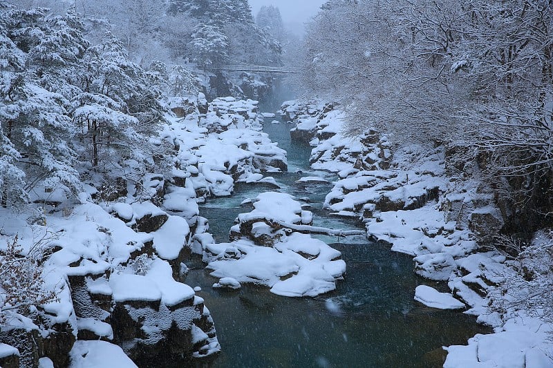 冬季流